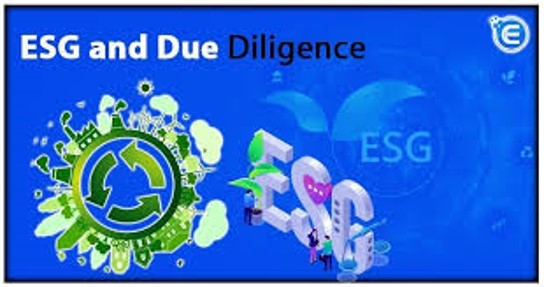 ESG Due Diligence Icon