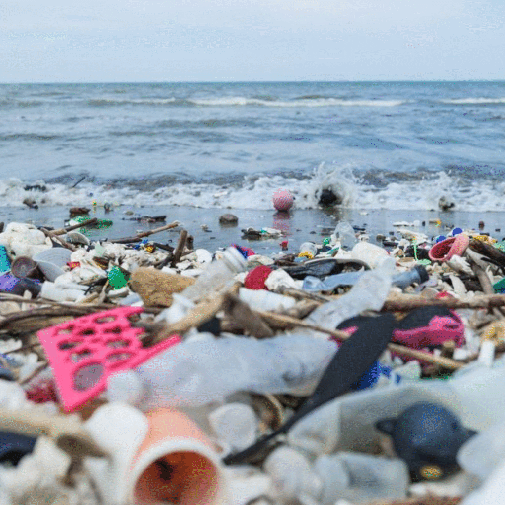 Plastic Waste